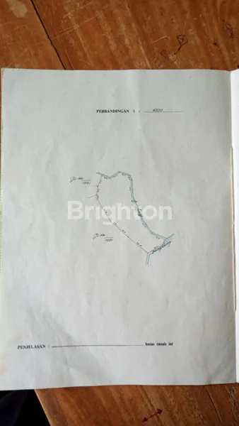 image TANAH  SAWAH DENGAN VIEW CANTIK ( LAUT DAN GUNUNG) (3)