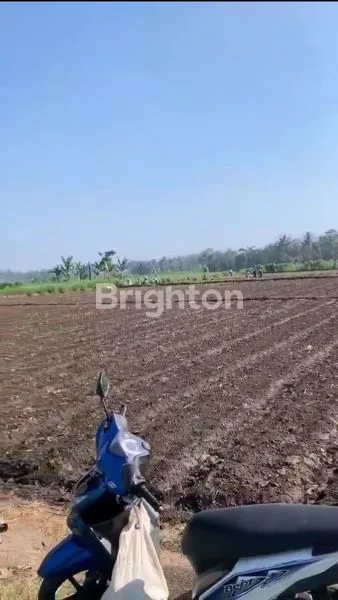 image INVESTASI TANAH MURAH 7968M², DEKAT MTSN 7 MALANG (5)