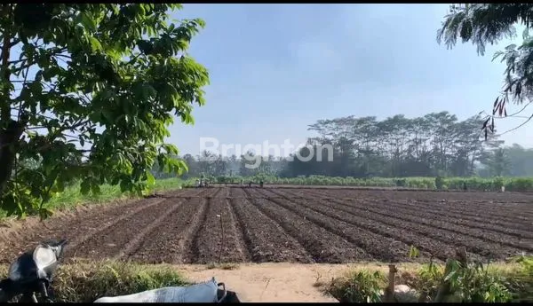 image INVESTASI TANAH MURAH 7968M², DEKAT MTSN 7 MALANG (2)