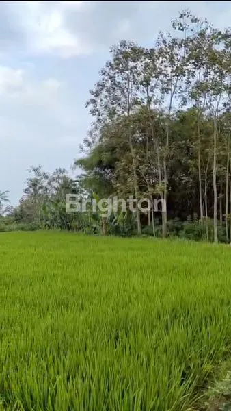 image INVESTASI TANAH MURAH 7968M², DEKAT MTSN 7 MALANG (7)