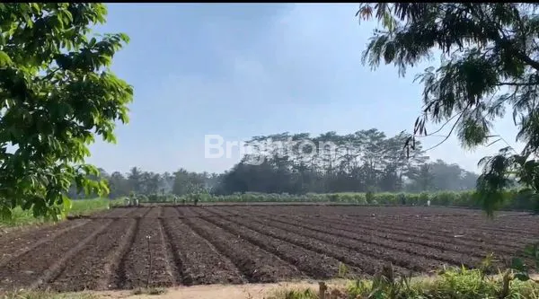 image INVESTASI TANAH MURAH 7968M², DEKAT MTSN 7 MALANG (8)