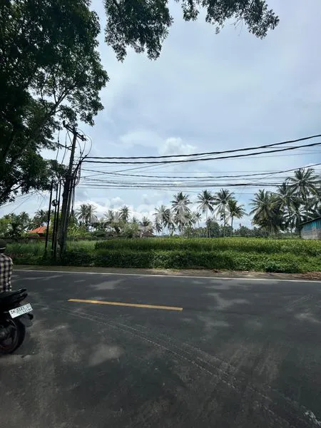 image SEWA TANAH DI JALAN UTAMA LUAS 2600 M2 KAWASAN BERKEMBANG SEMBUNG MENGWI BADUNG (3)