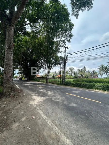 image SEWA TANAH DI JALAN UTAMA LUAS 2600 M2 KAWASAN BERKEMBANG SEMBUNG MENGWI BADUNG (1)
