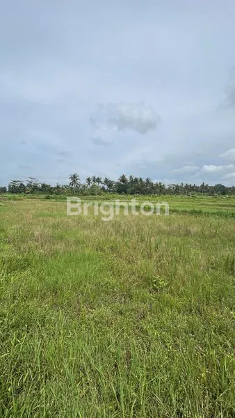 image TANAH SEWA 3400 M2 LOKASI STRATEGIS DI KAWASAN SEMBUNG MENGWI BADUNG (5)