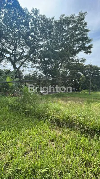 image TANAH LUAS 3400 M2 DI JLN UTAMA LOKASI STRATEGIS  KAWASAN MENGWI BADUNG BALI (1)