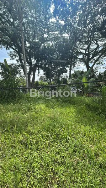 image TANAH LUAS 3400 M2 DI JLN UTAMA LOKASI STRATEGIS  KAWASAN MENGWI BADUNG BALI (6)