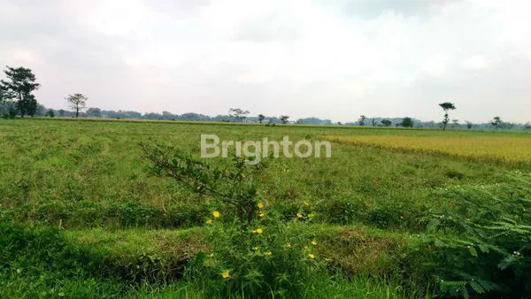 image DIJUAL LAHAN PERTANIAN, DI BLARU KECAMATAN BADAS KEDIRI DEKAT SMA TRENSAINS TEBUIRENG (3)