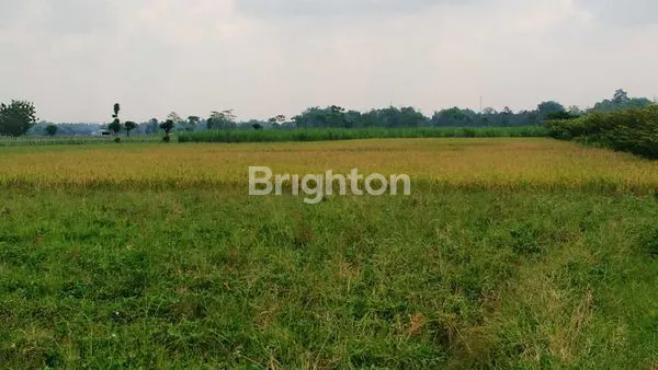 image DIJUAL LAHAN PERTANIAN, DI BLARU KECAMATAN BADAS KEDIRI DEKAT SMA TRENSAINS TEBUIRENG (1)