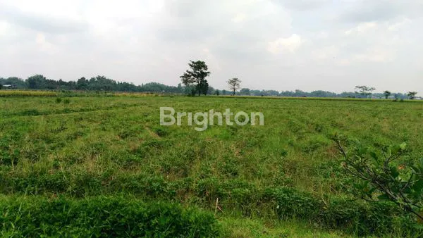 image DIJUAL LAHAN PERTANIAN, DI BLARU KECAMATAN BADAS KEDIRI DEKAT SMA TRENSAINS TEBUIRENG (2)