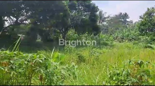 image TANAH CIBINONG KAB.BOGOR (3)