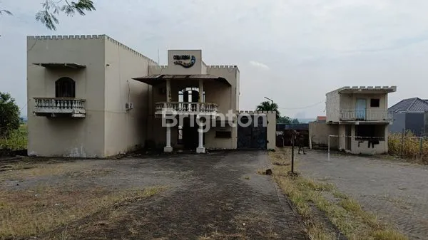 image TANAH 3926 SHM DIJUAL CEPAT MANYAR GRESIK NEGO (1)