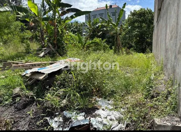 image DIJUAL TANAH DIBURUSN 2 ARE 700 JUTA (1)