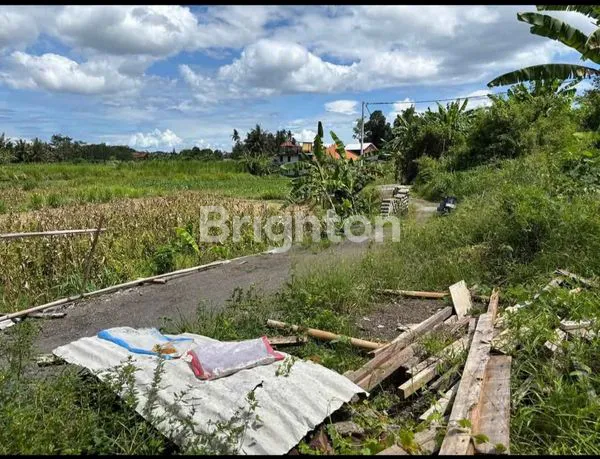 image DIJUAL TANAH DIBURUSN 2 ARE 700 JUTA (3)