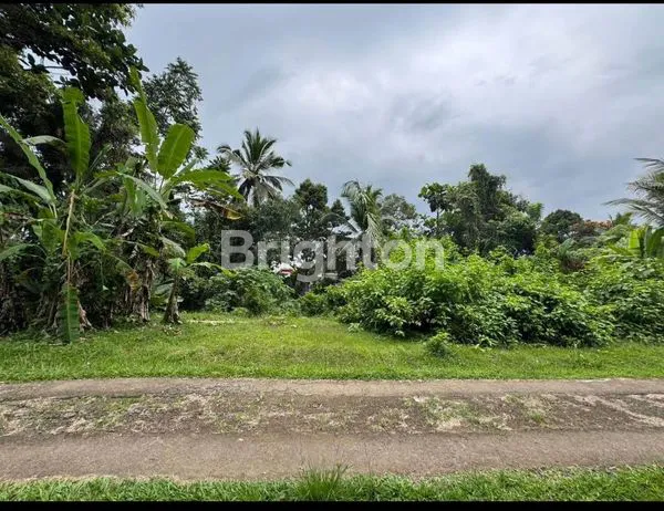 image DIJUAL TANAH DI MARGE PER ARE 170 JUTA ADA 2 ARE (4)