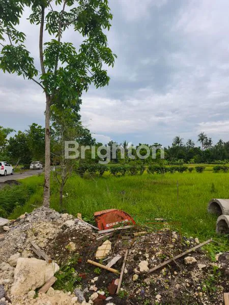 image TANAH KAVLING PREMIUM VIEW LAUT DAN SAWAH BELONG TABANAN (4)