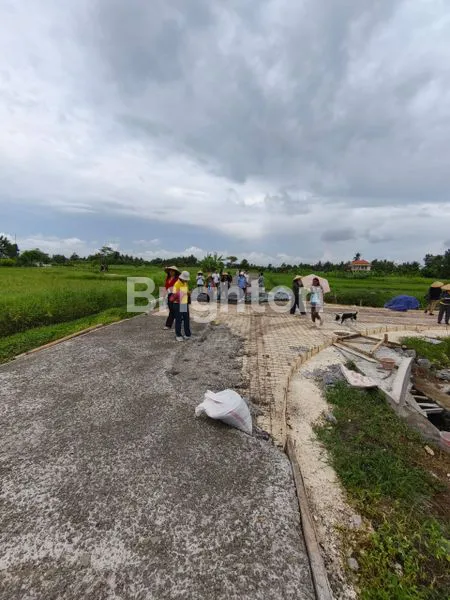 image TANAH KAVLING PREMIUM VIEW LAUT DAN SAWAH BELONG TABANAN (7)