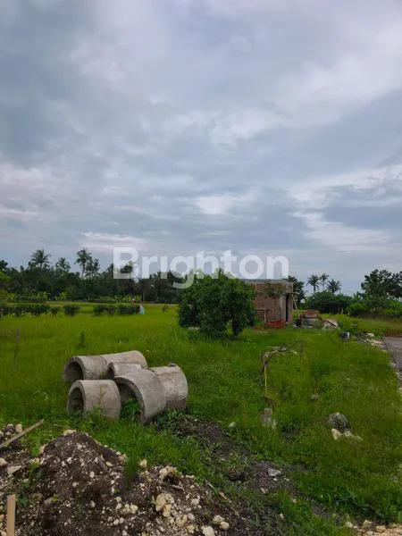 image TANAH KAVLING PREMIUM VIEW LAUT DAN SAWAH BELONG TABANAN (1)