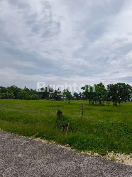 image TANAH KAVLING PREMIUM VIEW LAUT DAN SAWAH BELONG TABANAN (6)