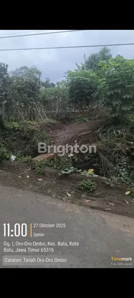 image DIJUAL TANAH ORO-ORO OMBO BATU (2)