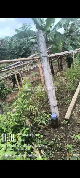 image DIJUAL TANAH ORO-ORO OMBO BATU (4)