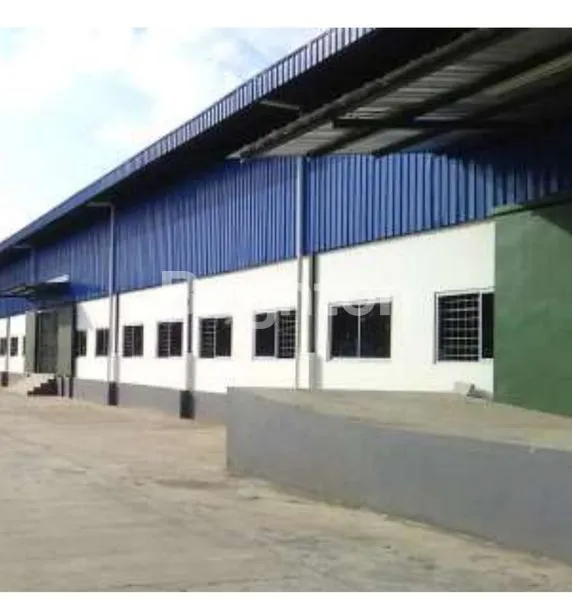 image GARMEN MASIH AKTIF DI KOTA PEMALANG JAWA TENGAH (1)