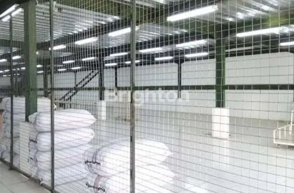 image GARMEN MASIH AKTIF DI KOTA PEMALANG JAWA TENGAH (4)