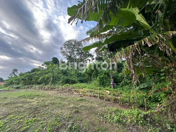 image TANAH LOKASI STRATEGIS  LUAS 770 M2 DI KAWASAN VILLA  DI PANDAK GEDE KEDIRI TABANAN BALI (5)