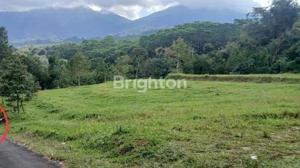 image DIJUAL TANAH 59 ARE DI JATILUWIH – VIEW GUNUNG & JUNGLE, AKSES HOTMIX, COCOK AKOMODASI WISATA (5)