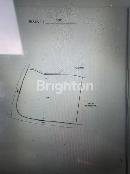 image DIJUAL TANAH 59 ARE DI JATILUWIH – VIEW GUNUNG & JUNGLE, AKSES HOTMIX, COCOK AKOMODASI WISATA (1)