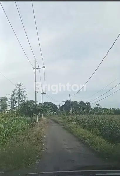 image TANAH MURAH DIJUAL SELUAS 24.670 M2 HANYA BERJARAK 150 METER DARI PINTU TOL GENDING PROBOLINGGO (3)
