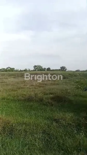 image TANAH MURAH DIJUAL SELUAS 24.670 M2 HANYA BERJARAK 150 METER DARI PINTU TOL GENDING PROBOLINGGO (6)