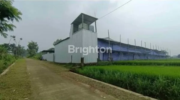 image TANAH PROSPEKTIF SHM 1.771 M² NOL JALAN MOJOKERTO BONUS KANDANG AYAM BESAR (1)