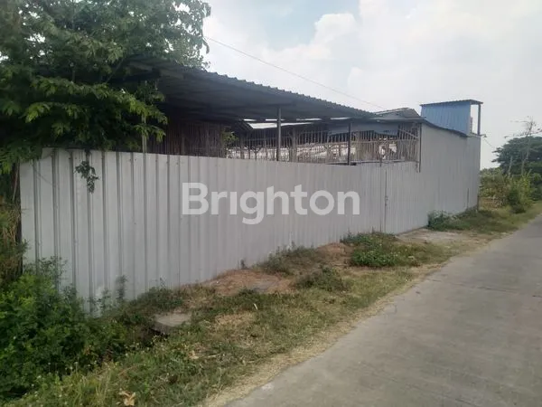 image TANAH PROSPEKTIF SHM 1.771 M² NOL JALAN MOJOKERTO BONUS KANDANG AYAM BESAR (3)