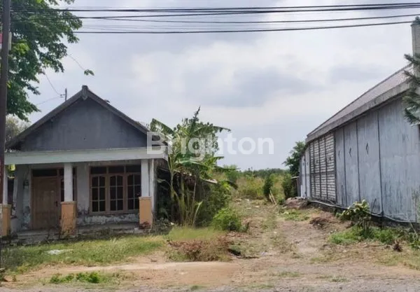 image TANAH DI RAYA PILANGREJO WATES (2)