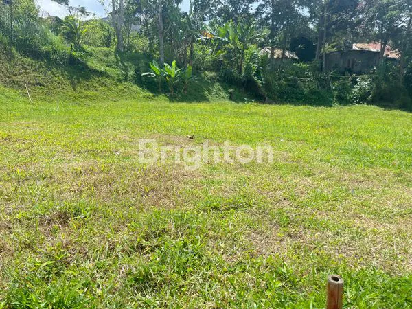 image LAHAN DATAR SIAP BANGUN MEGAMENDUNG (1)