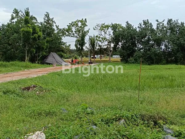 image EXCLUSIVE - TANAH KAVLING SUPER CANTIK – VIEW SAWAH & LAUT, HANYA 300 M KE PANTAI BELONG (3)