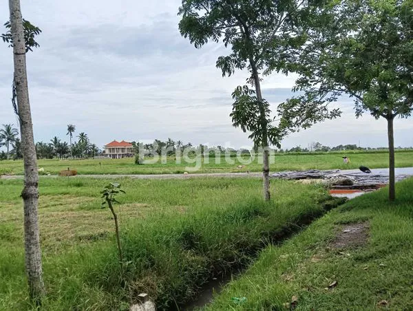 image EXCLUSIVE - TANAH KAVLING SUPER CANTIK – VIEW SAWAH & LAUT, HANYA 300 M KE PANTAI BELONG (7)