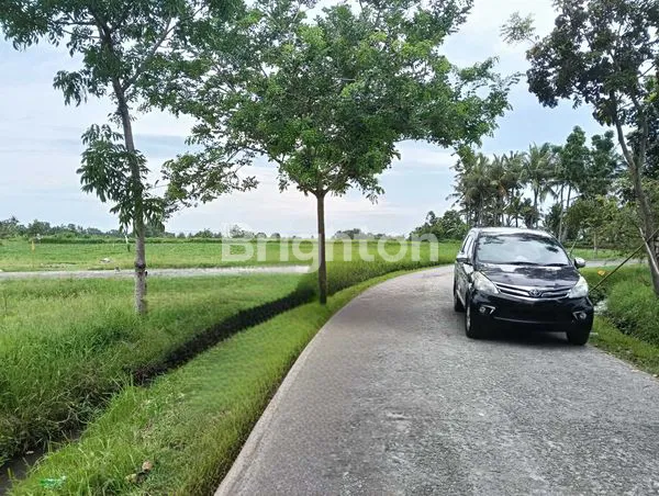 image EXCLUSIVE - TANAH KAVLING SUPER CANTIK – VIEW SAWAH & LAUT, HANYA 300 M KE PANTAI BELONG (2)