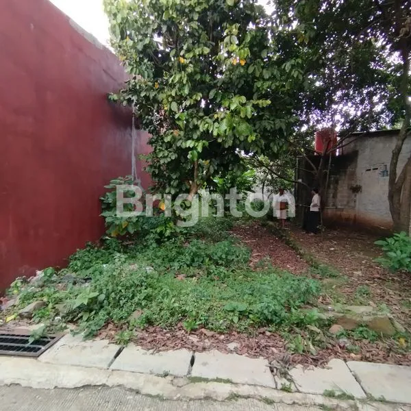 image TANAH COCOK TUK INVESTASI  (1)