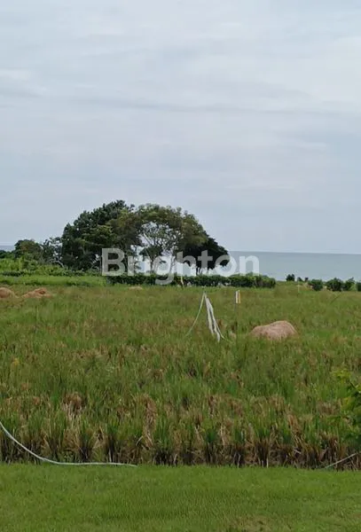 image PRIME BEACHFRONT DEVELOPMENT OPPORTUNITY – IDEAL FOR HOTEL & RESORT, BEACH CLUB, OR LUXURY VILLA ESTATE (5)