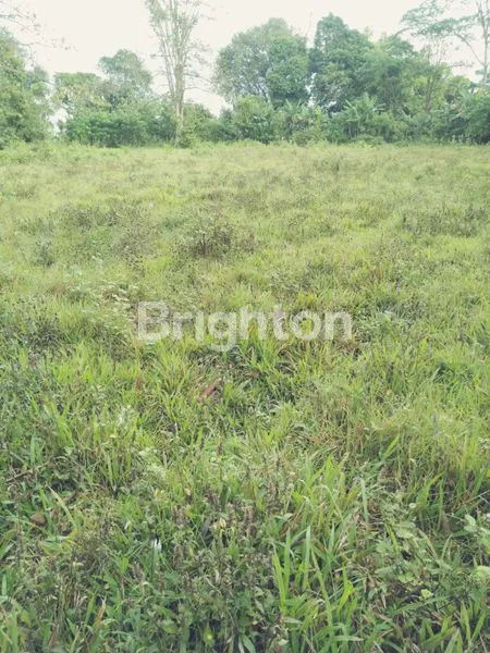 image DI JUAL MURAH TANAH DARAT DI CIKUPA TANGERANG  (1)