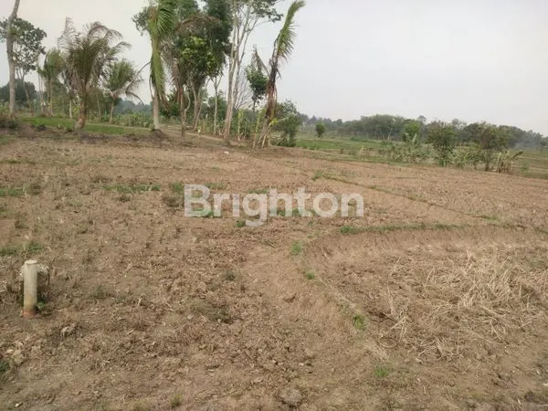 image DI JUAL CEPAT DAN MURAH!! TANAH TIGARAKSA TANGERANG  (1)