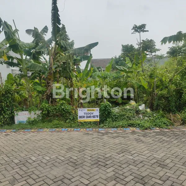 TANAH LUAS 4.705M² DI KUTEREJO MOJOKERTO