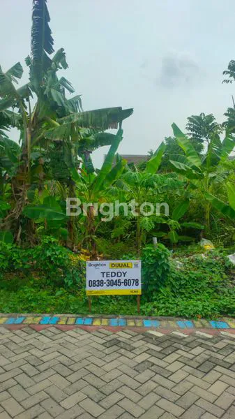 image TANAH LUAS 1138M² DI PUNCAK TRAWAS (1)