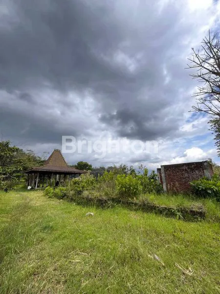 image DI JUAL TANAH BONUS BANGUNAN JOGLO (2)