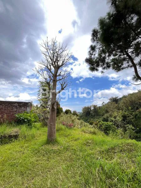 image DI JUAL TANAH BONUS BANGUNAN JOGLO (4)