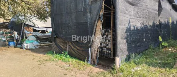 image TANAH DI BATU LUAS 1496M (4)