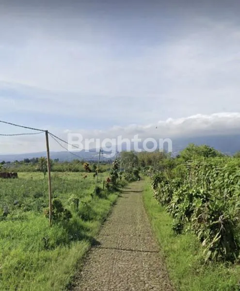 image TANAH DI BATU LUAS 1496M (7)