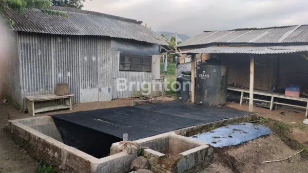 image TANAH DI BATU LUAS 1496M (8)