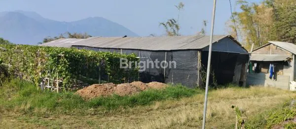 image TANAH DI BATU LUAS 1496M (3)